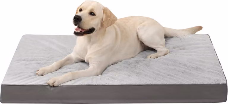 Cuccia ortopedica per cani di grossa taglia - XL - realizzata in schiuma viscoelastica - rivestita in pile e oxford, reversibile - lavabile