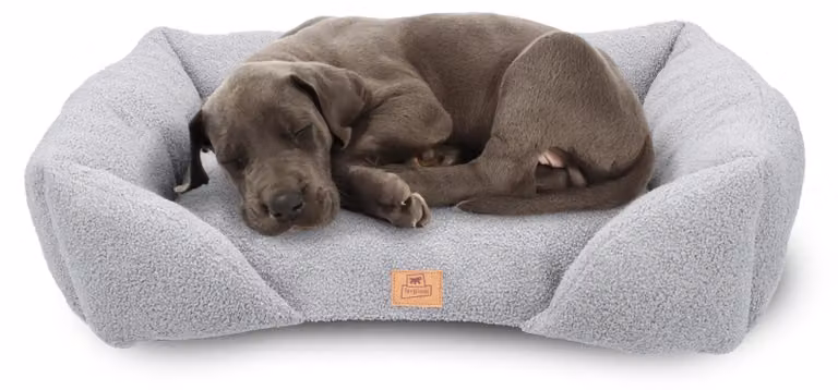 Cuscino per cuccia Ferplast, adatto per cani di taglia media e gatti, realizzato in materiale sintetico lavabile