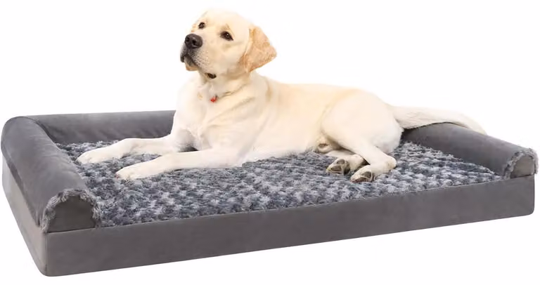 Cuccia ortopedica per cani, taglia XXL, grigia, dimensioni 121x76x18 cm, con 3 bordi rialzati, rivestimento removibile e lavabile