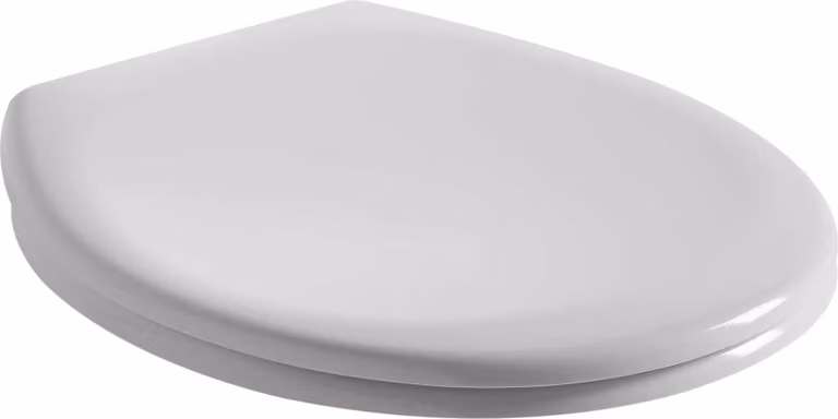 Sedile wc per vaso carisma in termoindurente soft close