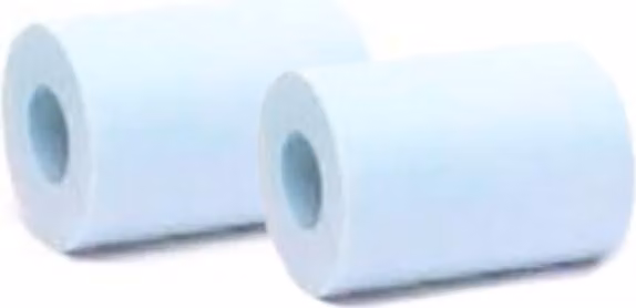 Coppia di spazzole in schiuma wb dyn per supreme robot m5, dyn +, master m5 e prox 2 Dolphin 9995560-ASSY