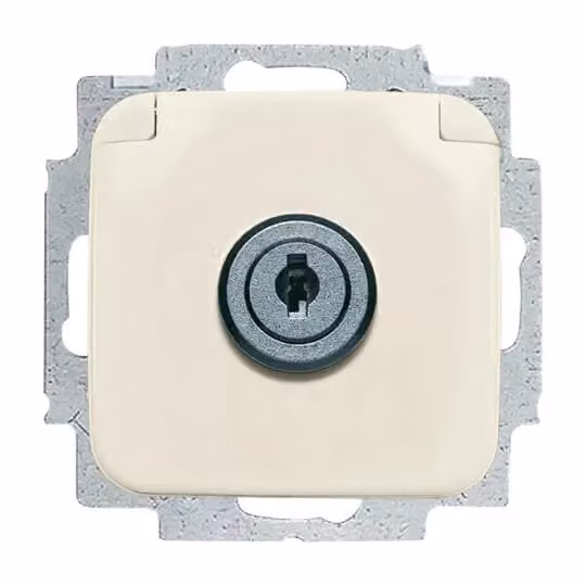 Busch-Jaeger 20 EUKSL-212-101 Inserto per presa SCHUKO®, con coperchio ribaltabile bianco