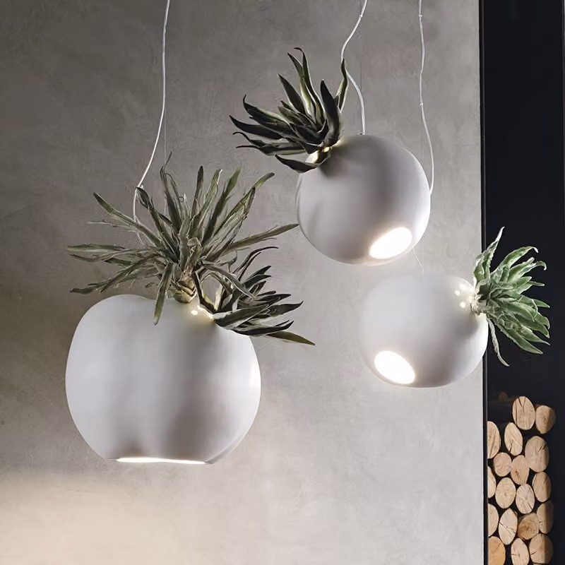 Lampadario Erbaria Adriani e Rossi