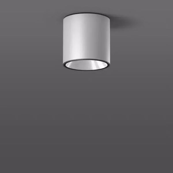 RZB Andho midi, Lampada da soffitto per esterni, Argento, Alluminio, IP65, I, IK08
