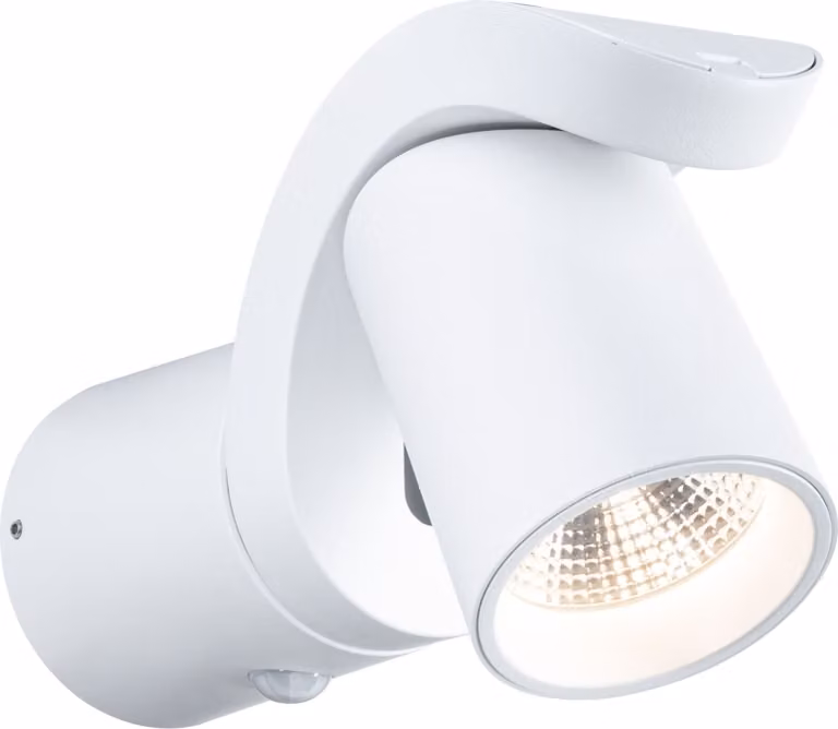 Paulmann Lampada da parete per esterni a LED Cuff Rilevatore di movimento crepuscolare (IR)