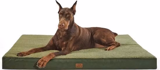 Letto ortopedico Bedsure per cani grandi, L: 137 cm, P: 111,5 cm, H: 10 cm, colore verde, con imbottitura in schiuma e fodera rimovibile antiscivolo
