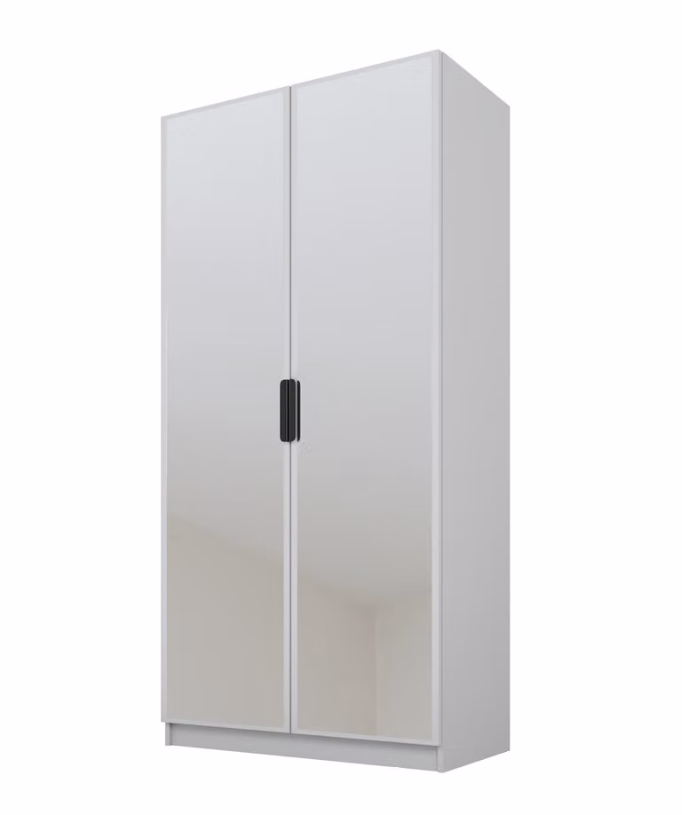 PAWS MOBEL Armadio grigio inclinabile 100x52x200 cm, armadio a due ante aperto con specchi, con ripiani e appendini