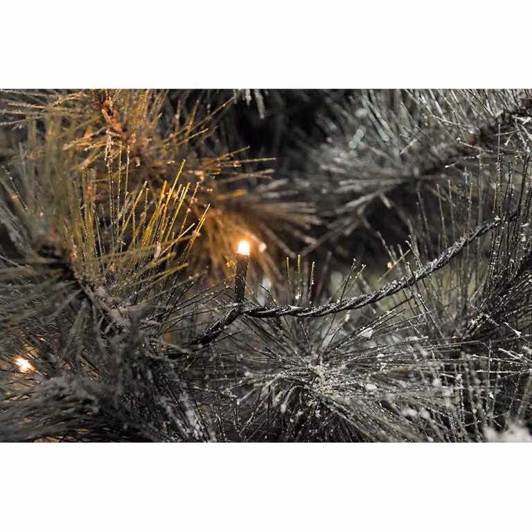 Konstsmide - Luci fiabesche a LED, con effetto luminescente, 120 diodi color ambra (60 incandescenti), trasformatore per esterni da 24 V, cavo nero - 3640-810