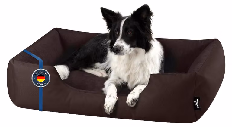 Letto per cani BedDog ZARA: cuscino per cani con rivestimento lavabile, cuccia a forma di cestino, divanetto per cani, CHOCOLATE (marrone), (XL) ca. 100x85x23 cm