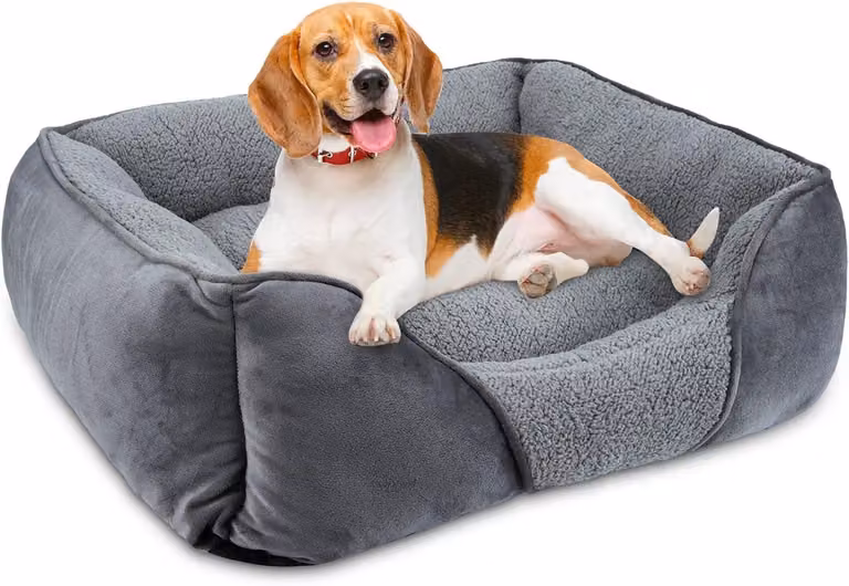 Cuccia per cani 51x48x15 cm, lavabile, rivestita in ecopelle, antiscivolo, adatta a cani di piccola taglia e gatti
