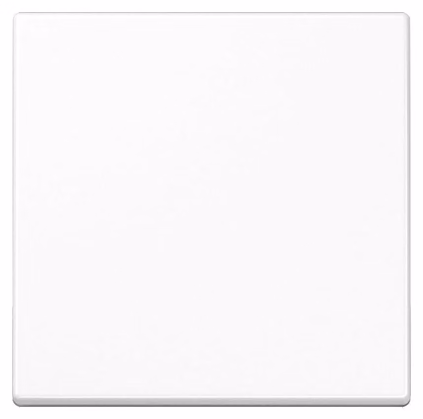 JUNG A1700WW A1700WW Steuertaste Standard (A1700WW)