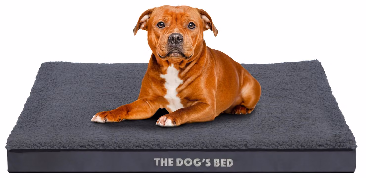 Letto ortopedico per cani con coperta impermeabile