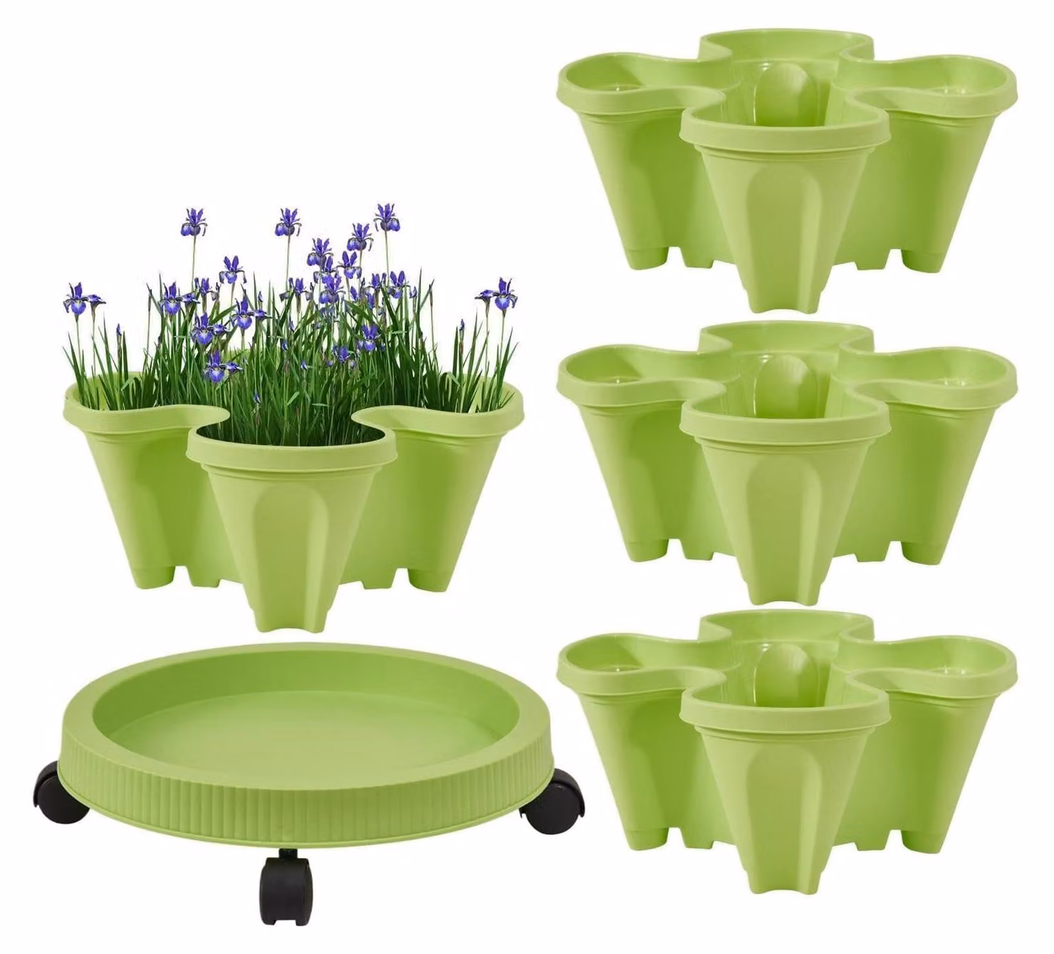 Espositore per piante, fiori e verdure