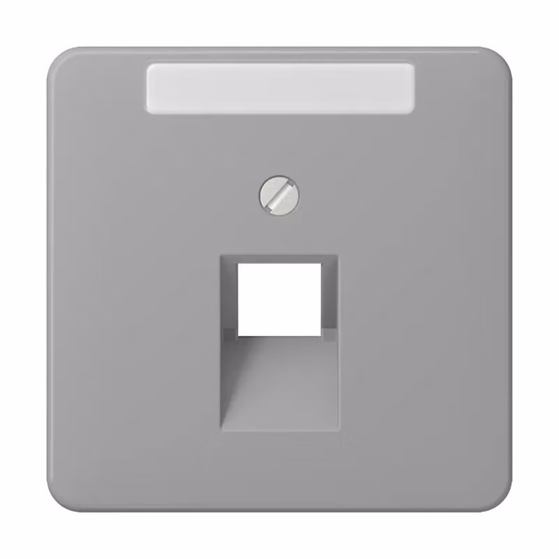 Jung CD569-1NAUAGR Copertura con campo di scrittura 6 x 37 mm grigio
