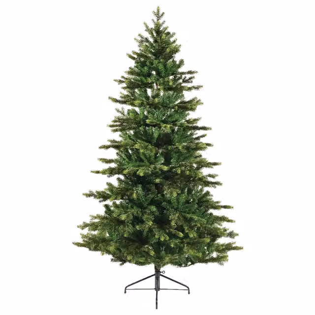 Albero di Natale Galloway spruce 150 x H 240 cm