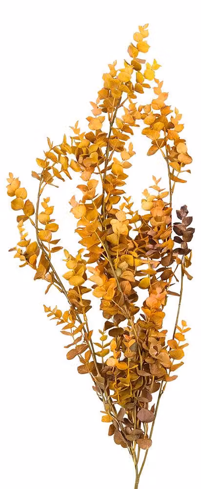 Clayre & Eef, decorazione natalizia, gelso, plastica, colore giallo