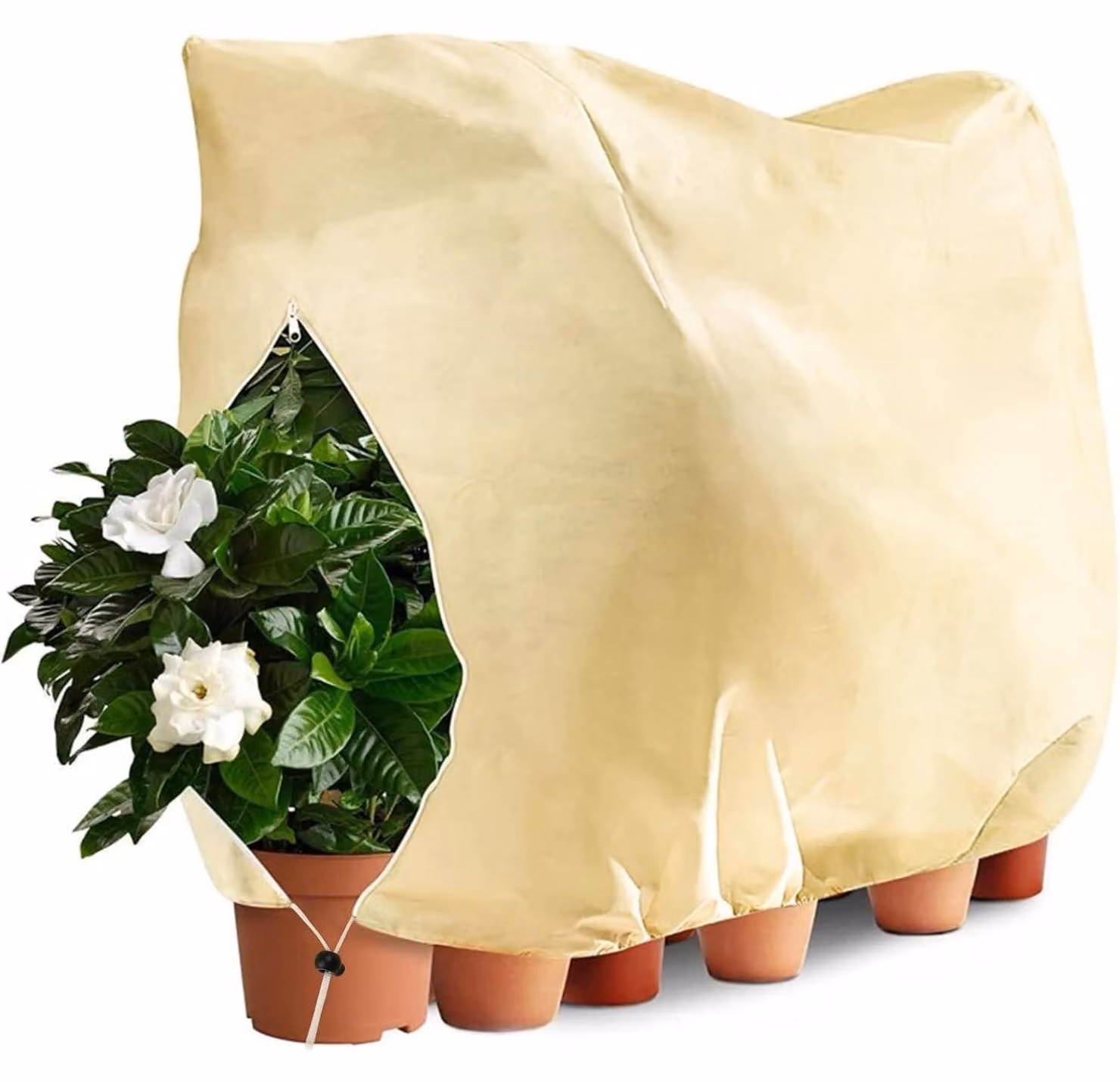 Protezione invernale delle piante 200x240cm Protezione invernale dal gelo 80g/㎡ con cerniera