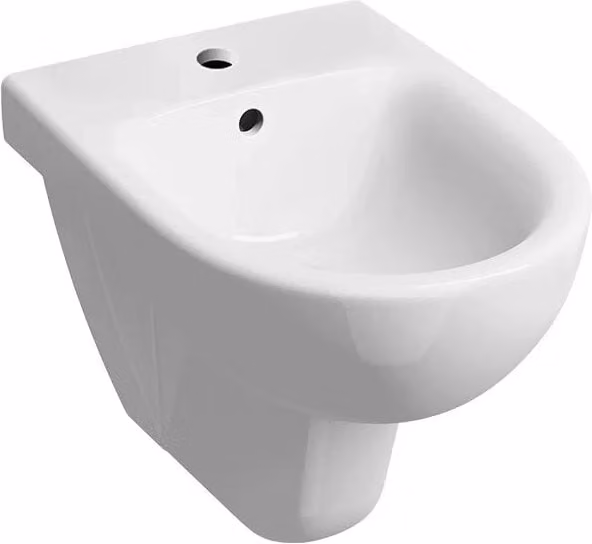 Bidet sospeso in ceramica Geberit bianco L/P/H: 53,0 x 35,0 x 34,5 cm