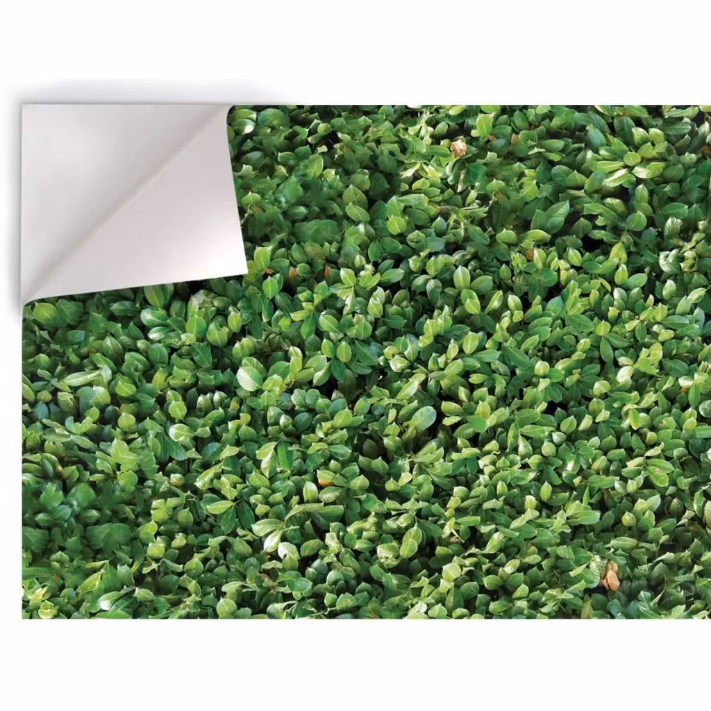 Pellicola adesiva stampata Signorbit effetto siepe in PVC con finitura opaca, colore verde, L: 100 cm, P: 500 cm – 2