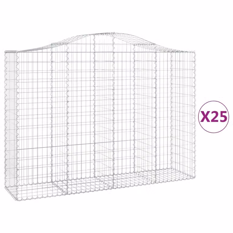 Cesti Gabbioni ad Arco 25 pz 200x50x140/160 cm Ferro Zincato