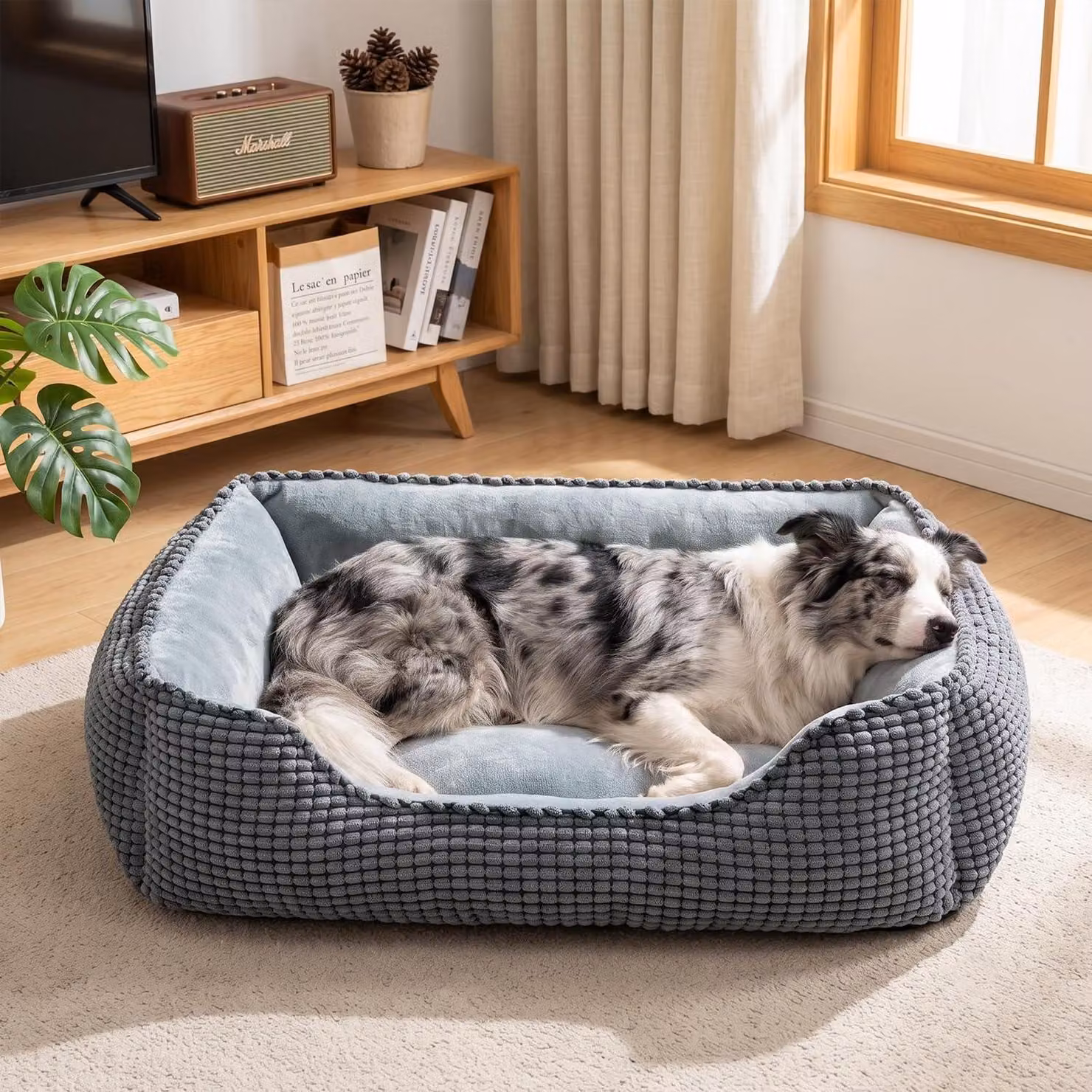 Cuccia per cani, lavabile, grigia, dimensioni 76x61x23 cm