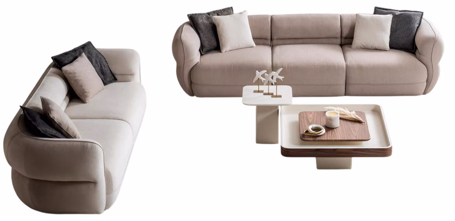 Elegante gemütliche stilvolle Sofas mit Couchtisch in modernem Design