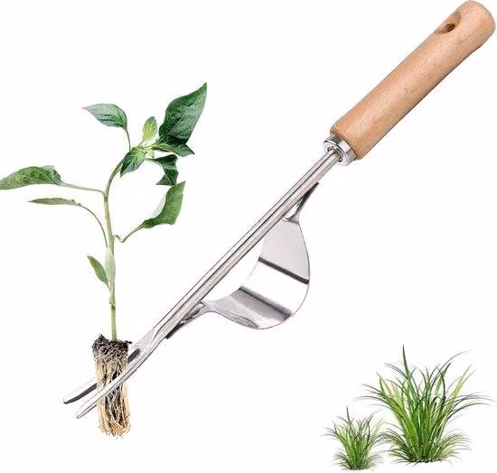 Estricatore manuale per erbacce in acciaio inossidabile, attrezzo da giardino con manico in legno naturale per scavare, estricatore di erbacce, zappino, trapianto di piantine, estricatore di erbacce portatile e semplice