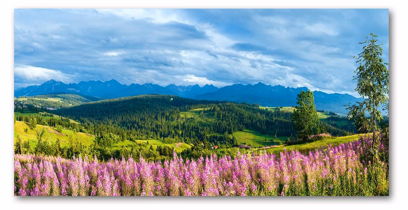 Pannello protettivo per cucina Tulup® in vetro temperato - 100x50 - Protezione anti-schizzi con decoro di fiori, piante, lavanda e montagne