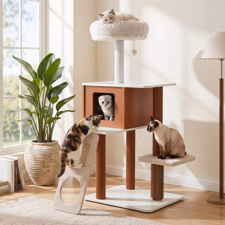 Albero per gatti da interno Costway beige a 4 livelli con cuccia superiore, piattaforme di salto e tiragraffi per gatti e gattini