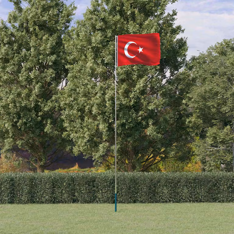 vidaXL Asta e Bandiera della Turchia in Alluminio e Poliestere, 5,5 m, Colore Argento e Rosso