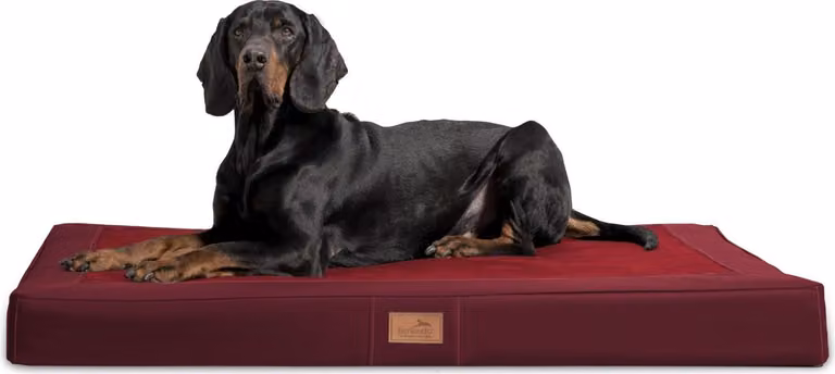 tierlando® OSCAR VISCO materasso ortopedico per cani in Pelle finta velour - dimensioni: 120x90cm | colore: 04 rosso scuro