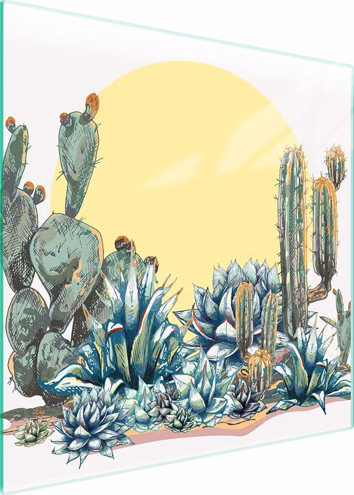 Piastra Di Protezione In Vetro Per Cactus 50X52