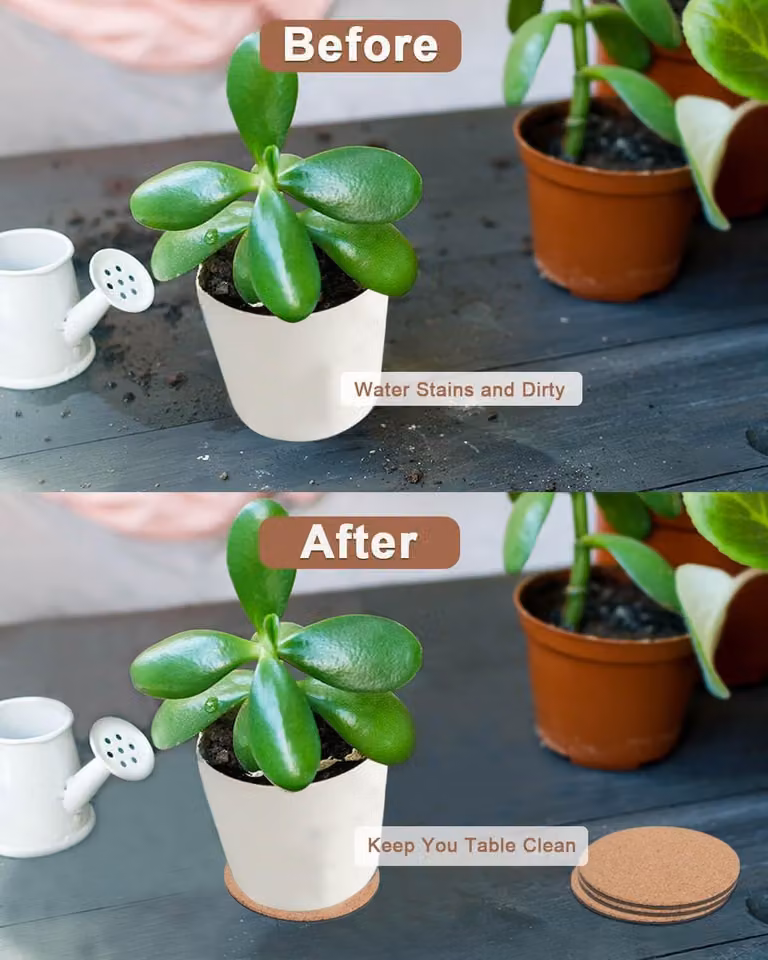 Sottobicchieri in sughero per piante - Sottobicchieri assorbenti per piante - Basi per vasi da fiori fai da te per interni - Accessori per vasi da fiori (16,8 cm)
