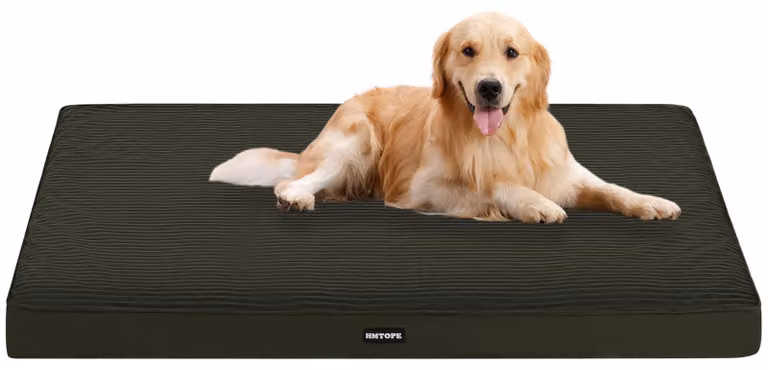 Solidchoice - Cuccia ortopedica per cani con coprimento removibile