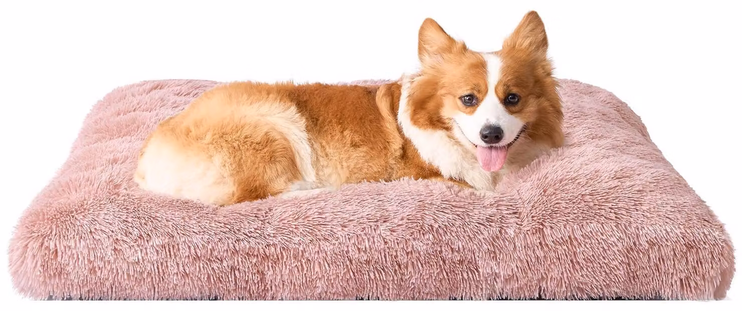 Elzusha - Cuccia per cani, taglia media, con rivestimento in peluche lavabile e base antiscivolo