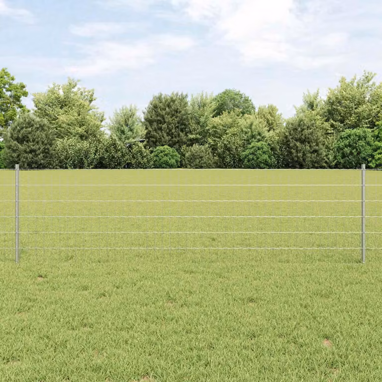 Maison Exclusive - Recinzione con Posto Argento 0,6 x 10 m Acciaio