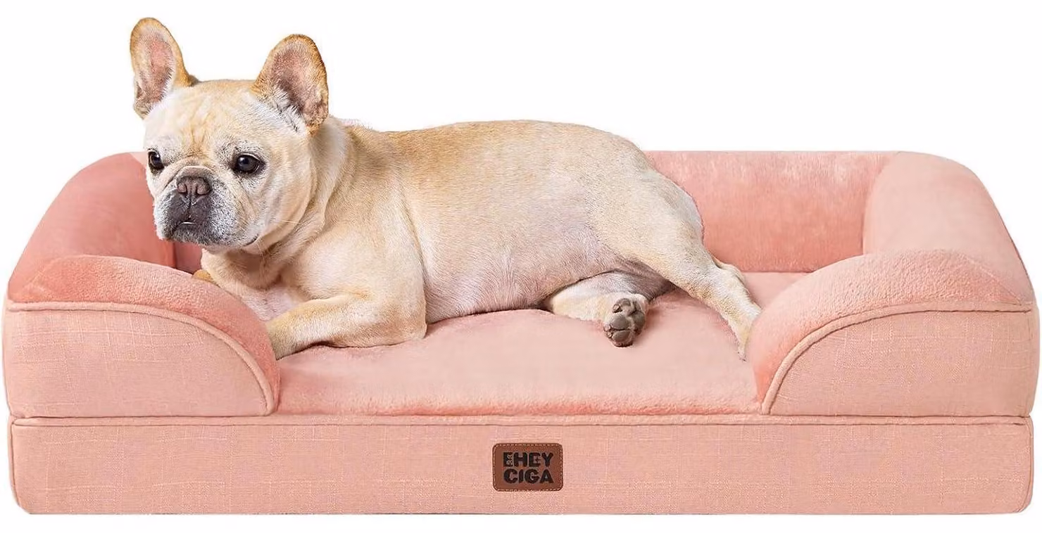Cuccia ortopedica per cani, con memory foam, 76x51 cm, rosa, lavabile, impermeabile, antiscivolo