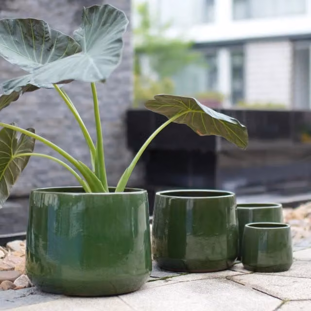 Set di 4 vasi in ceramica OKWISH verdi, fioriera a più livelli per interni ed esterni, forma rotonda e design moderno