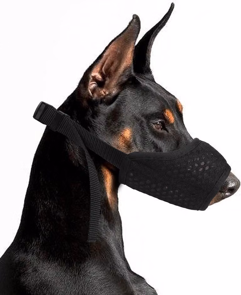 Museruola traspirante in mesh, regolabile, disponibile in diverse taglie, adatta a cani di piccola e grande taglia