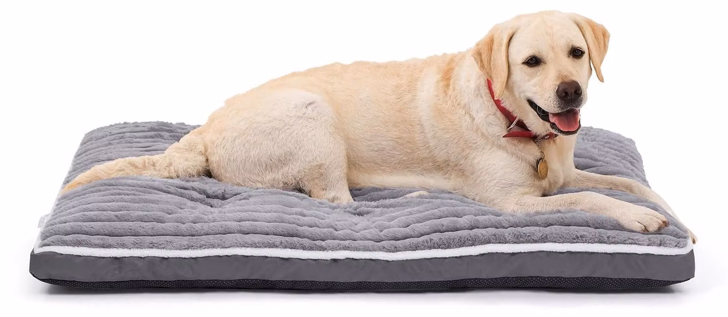 Cuccia grande per cani: tappetino morbido e lavabile in peluche per cani