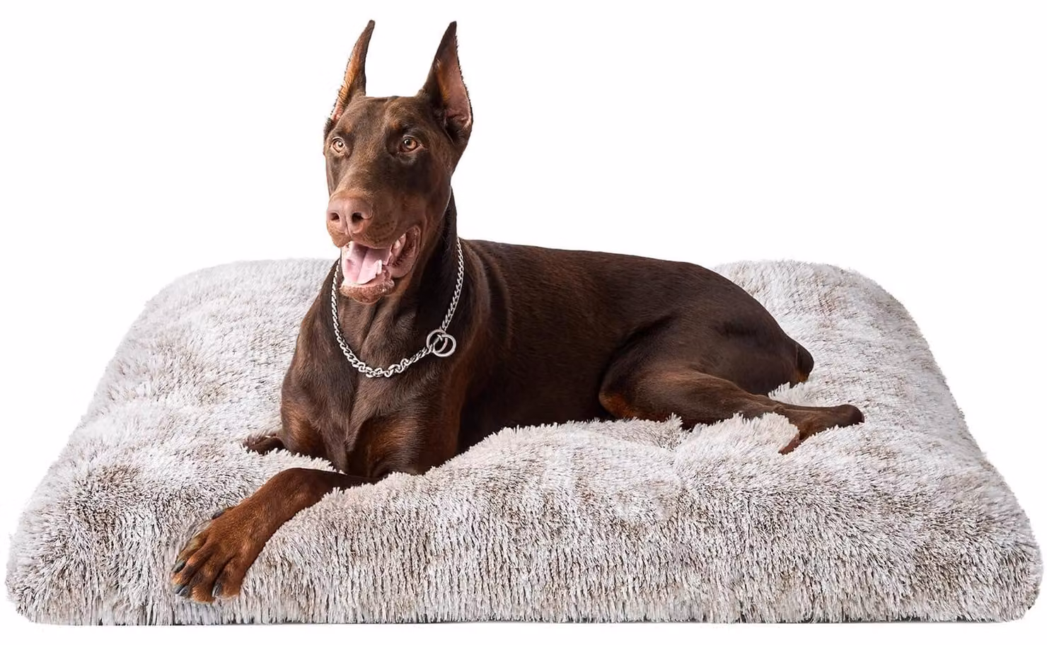 Cuccia per cani, extra grande - 120x90 cm, marrone - Poliestere - Lavabile