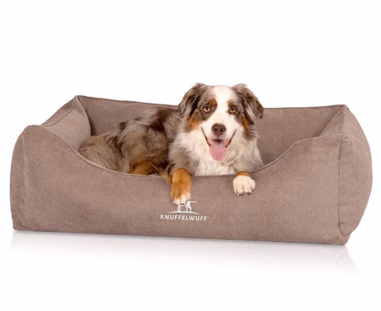 Knuffelwuff: cuccia ortopedica per cani con cuscino reversibile a ventaglio Baltimore 100x70 cm beige