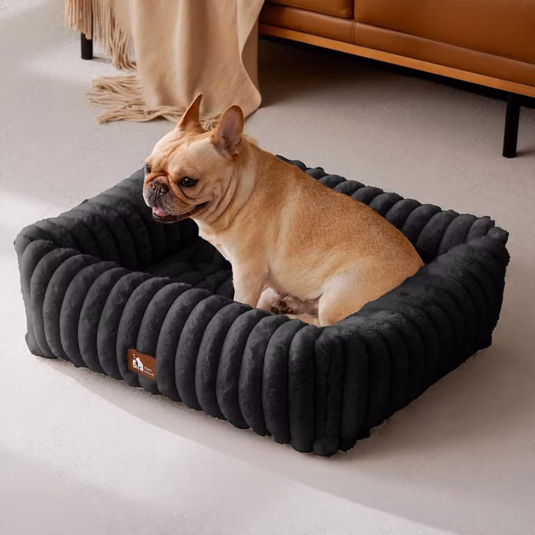 Cuccia per cani  morbida e lavabile, colore nero, dimensioni 64 x 53 x 18 cm