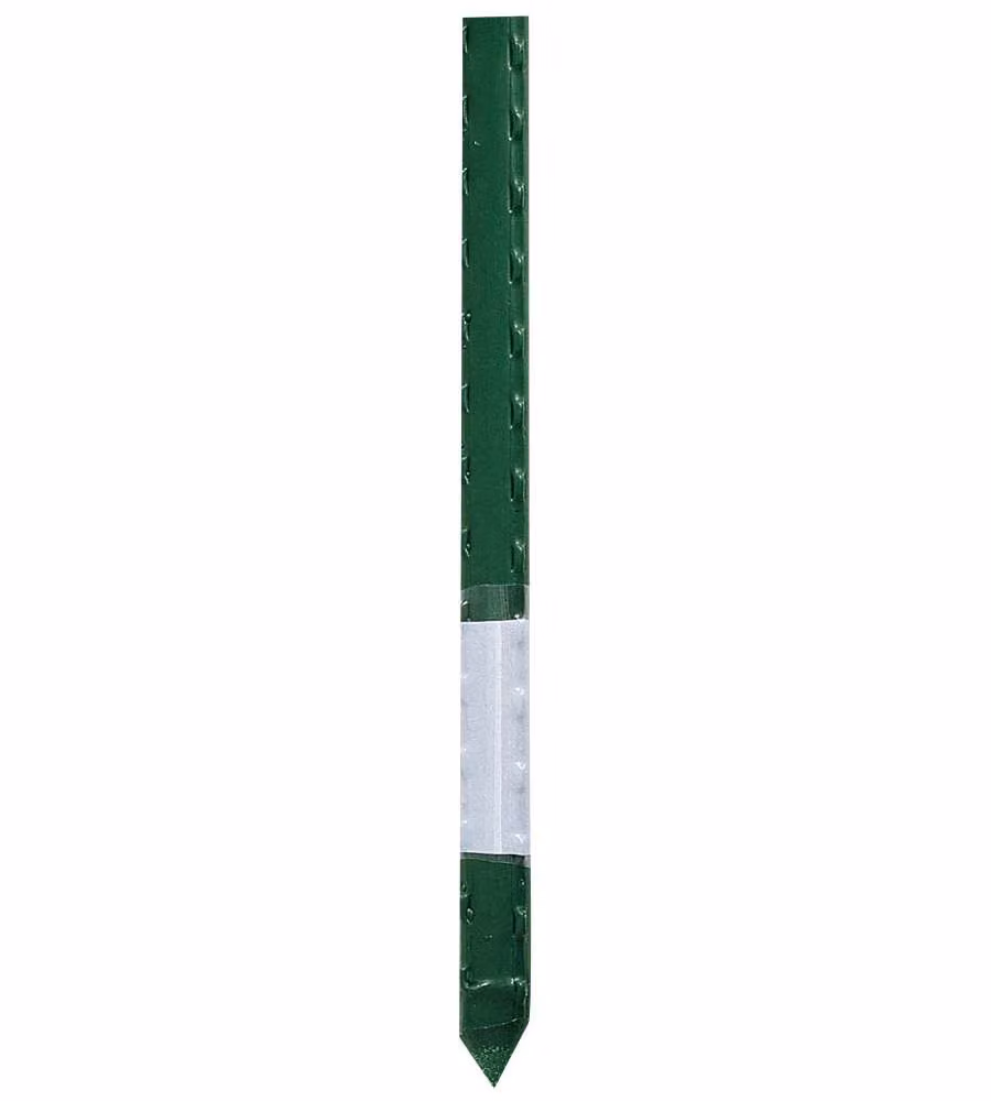 Verdemax Tutore per Piante - Verde - 11 mm x 150 cm