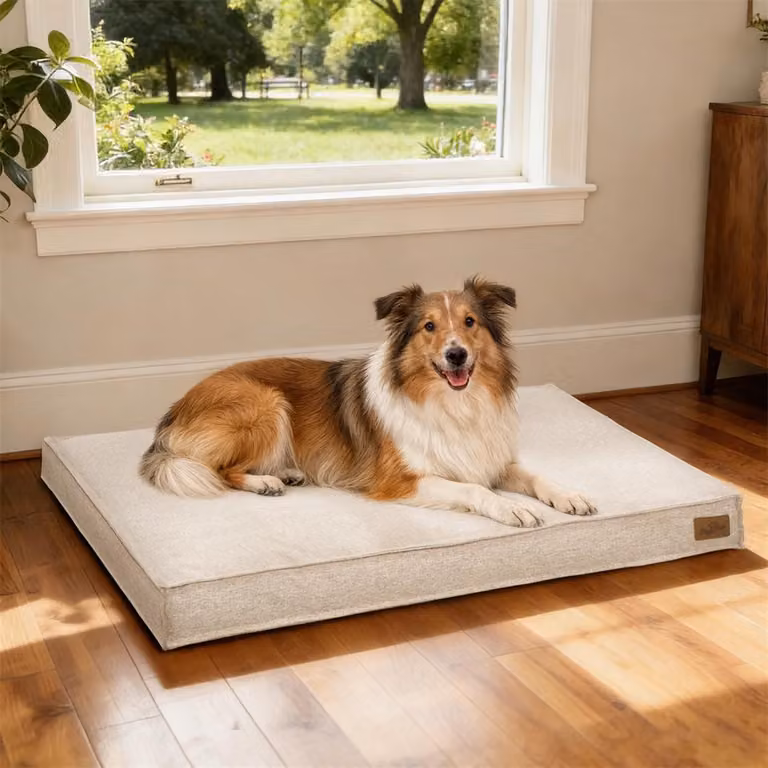 WISFOR Lettino per cani Divano per cani Cuscino per cani Antiscivolo, rivestimento sfoderabile e lavabile XL: 103 x 69 x 10 cm, kaki