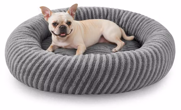 Cuccia per cani, rotonda, antiscivolo, imbottita con granuli e memory foam, piccola, adatta sia per interni che per esterni
