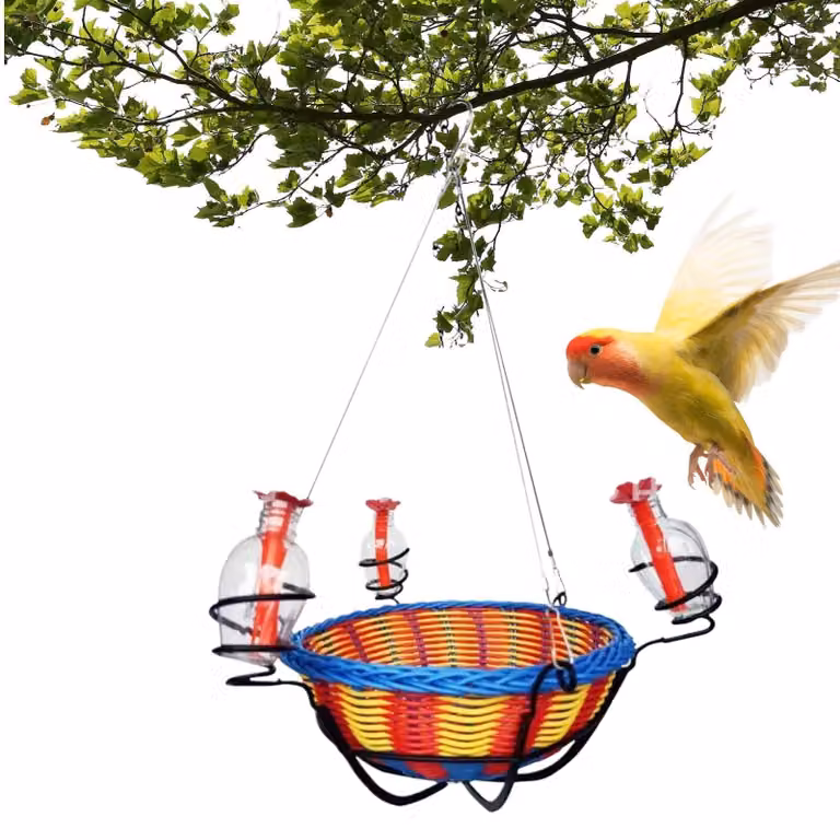 Distributore per nettare per colibrì con tre aperture