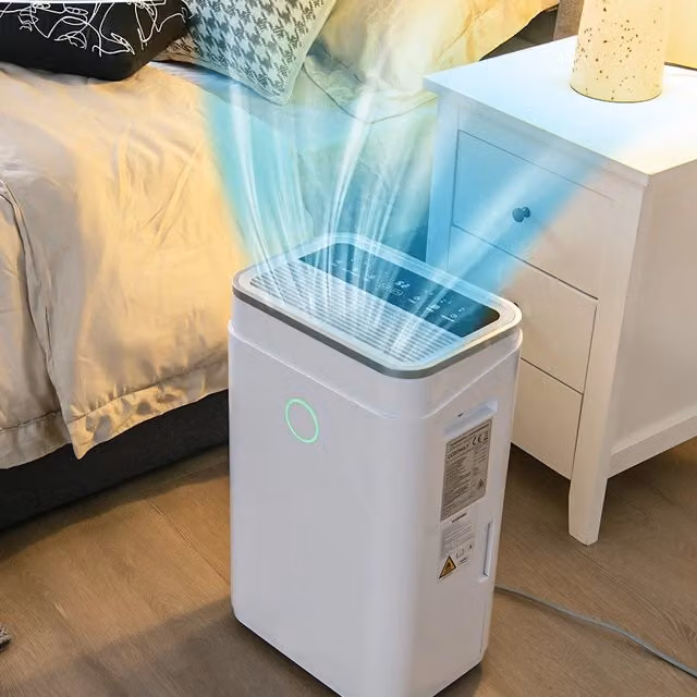 Deumidificatore per casa con serbatoio dell¡¯acqua 6,5L, Deumidificatore con timer 24 ore e tubo di scarico Bianco