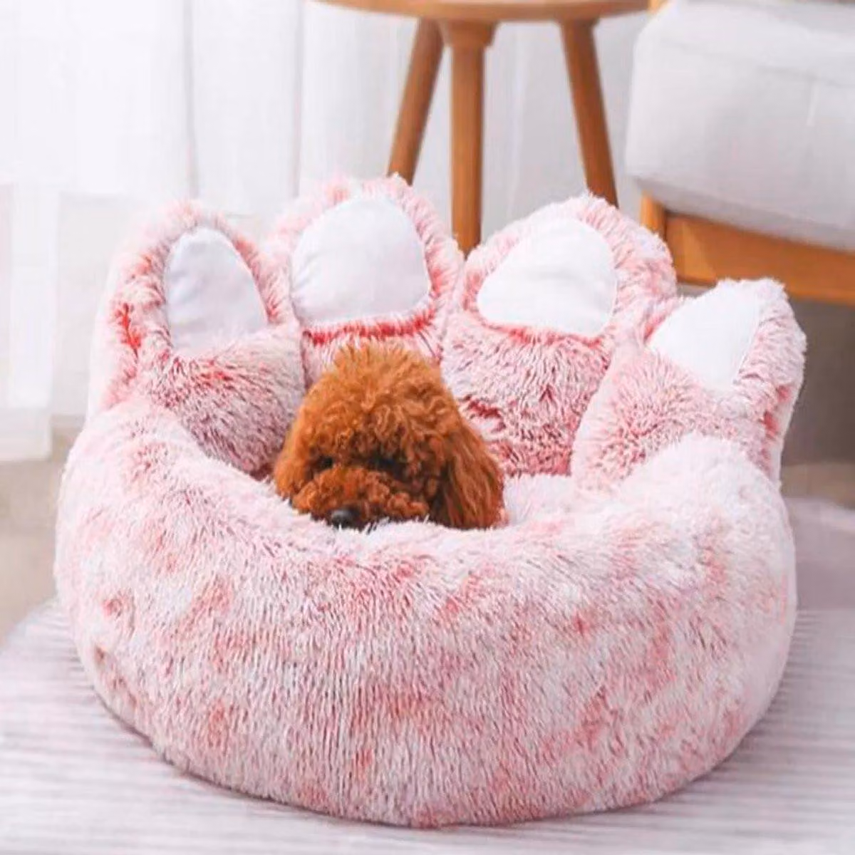 Cuccia confortevole per cani e gatti: lavabile, calda e con base antiscivolo
