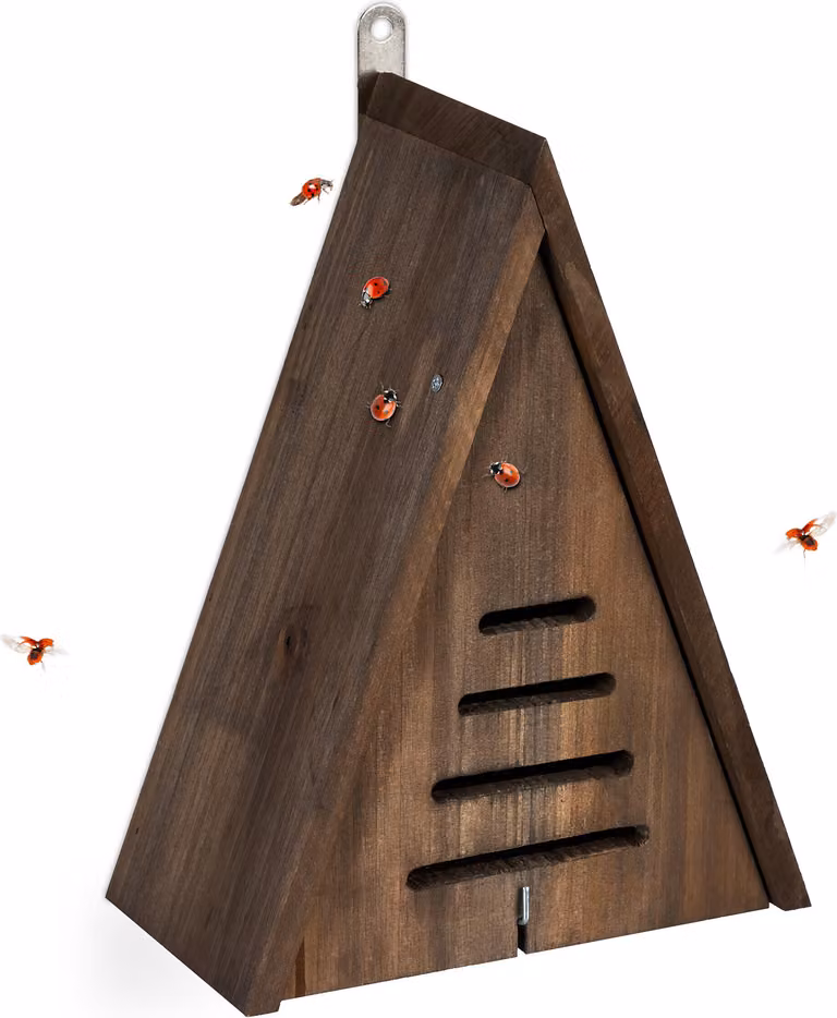 Relaxdays Casetta per coccinelle, hotel per coccinelle da giardino, da appendere, legno non trattato, hotel per insetti per coccinelle, marrone